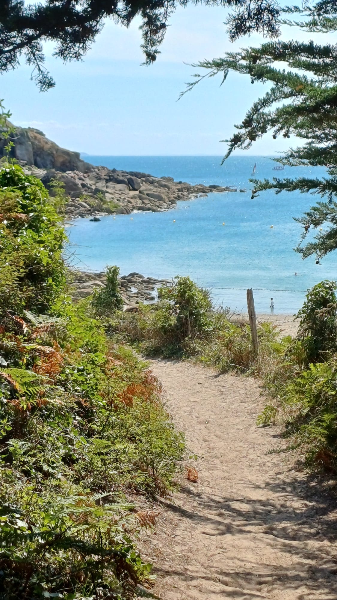 Sur les chemins de la connaissance