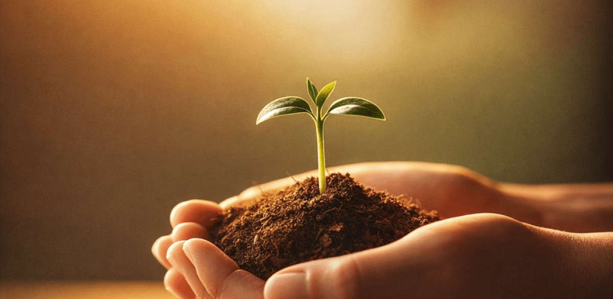 ChatGPT Image 28 janv. 2026, 08_43_55